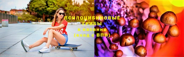 шишки Навашино