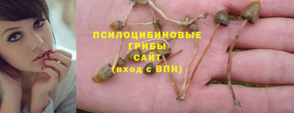 бутират Надым