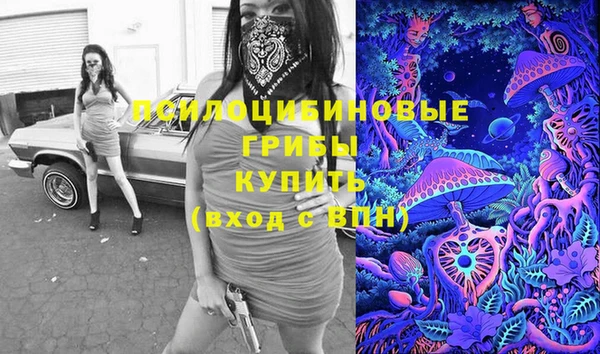 бутират Надым