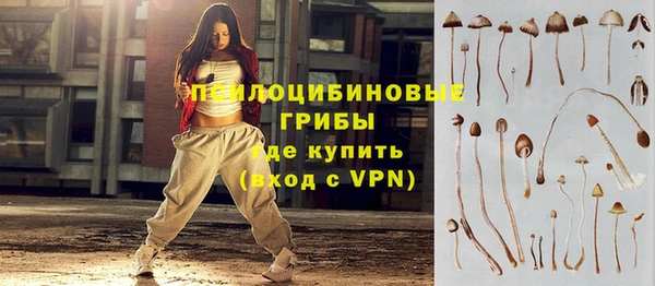 шишки Навашино